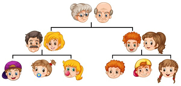 ERD adalah kepanjangan dari Entity Relationship Diagram