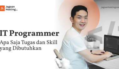 IT Programmer