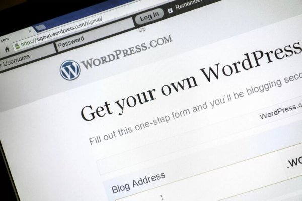 4 Cara Update Wordpress Manual Maupun Otomatis, Mudah!