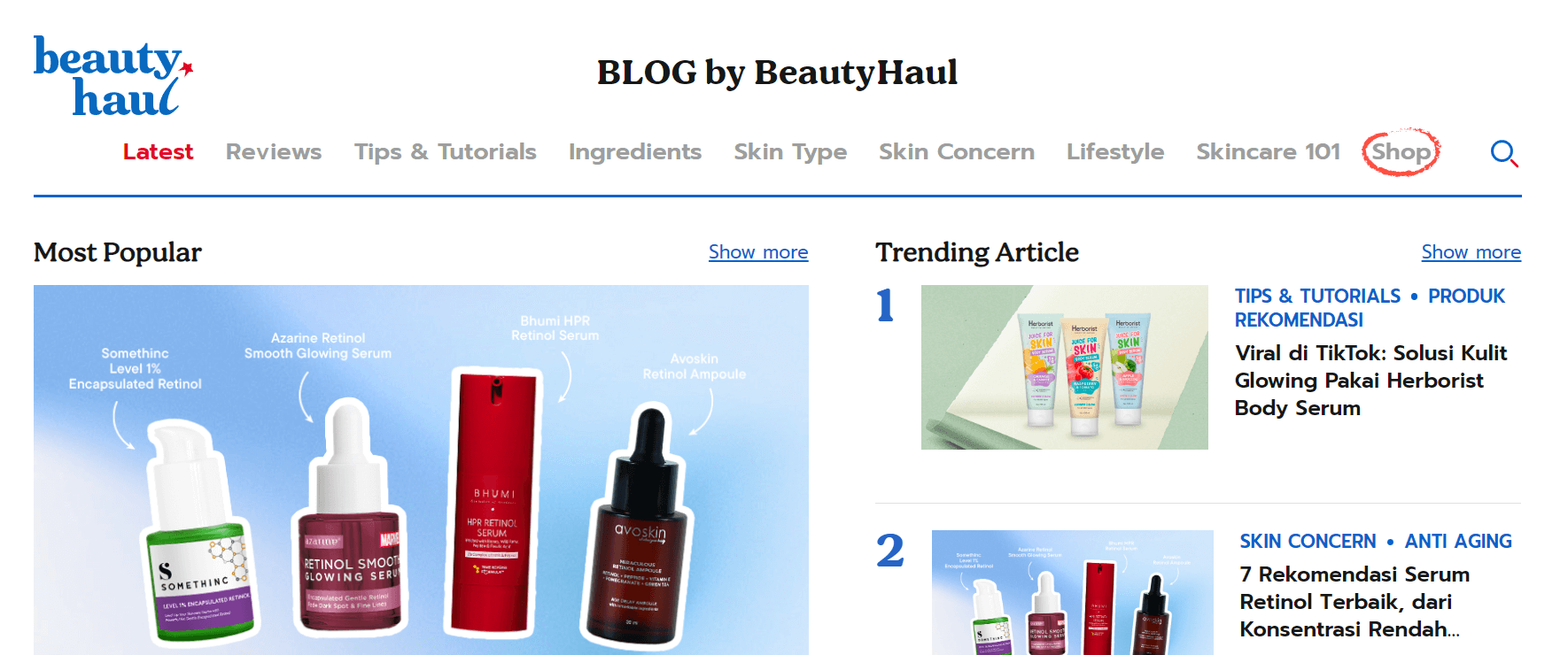 niche blog kecantikan