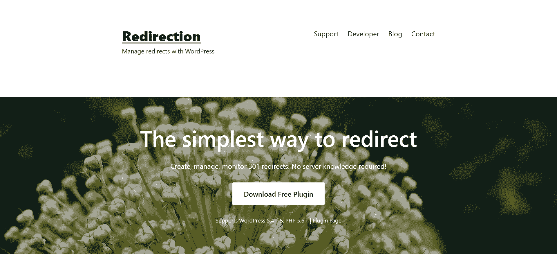 plugin redirection wordpress