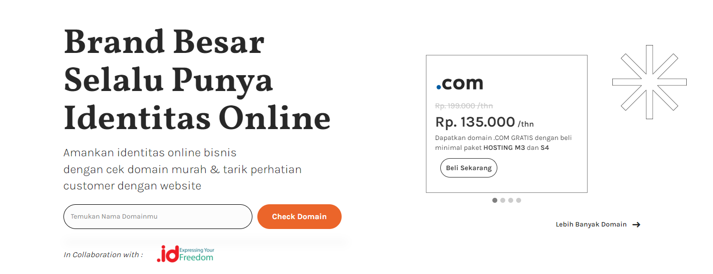 cek domain