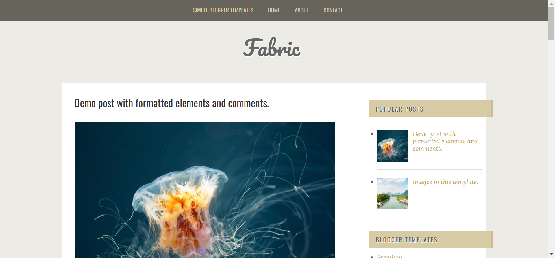 fabric blogger template