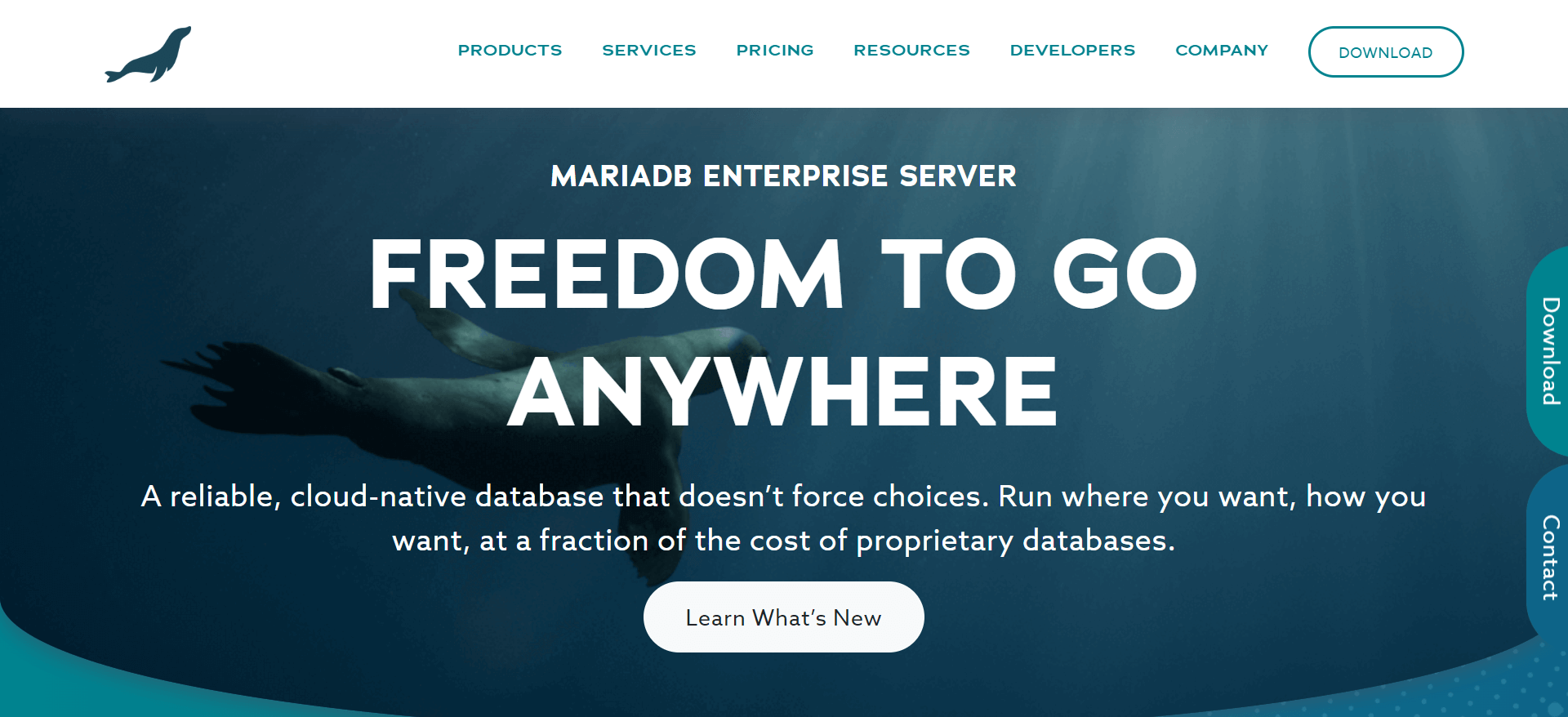 mariadb