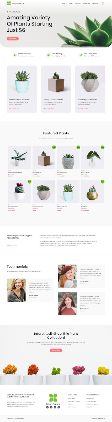 template website ecommerce