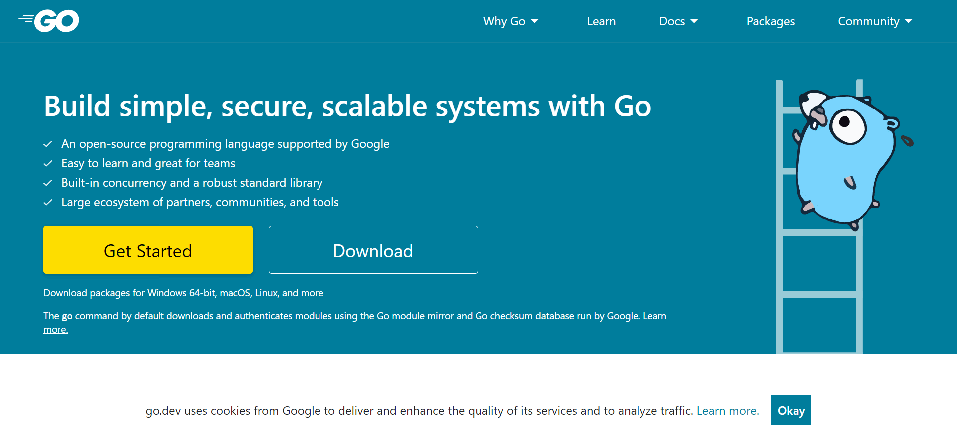 golang