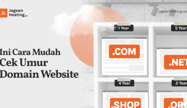 cek umur domain web