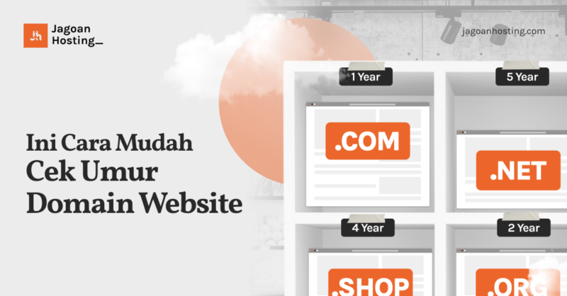 cek umur domain web