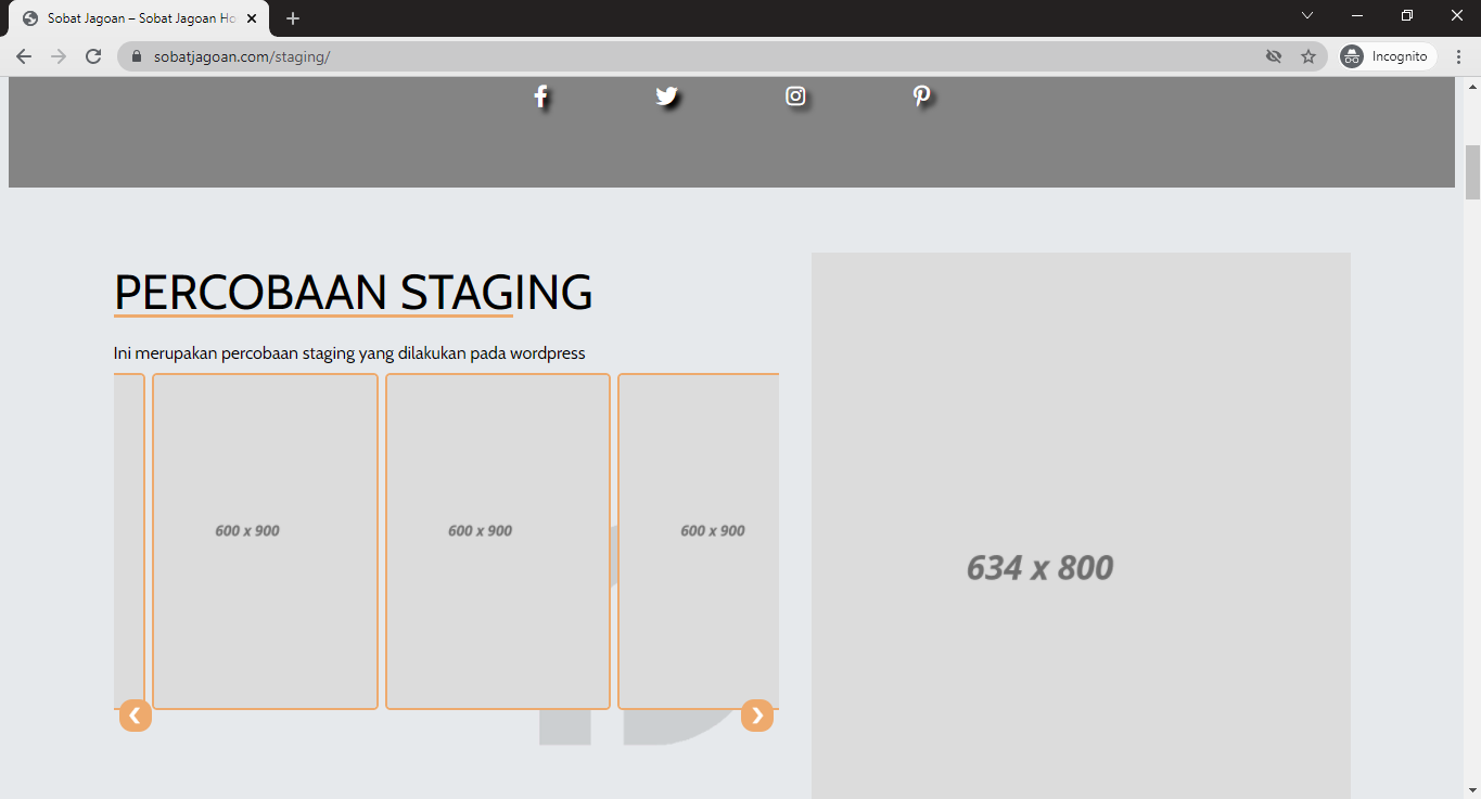 Cara Membuat Staging Website