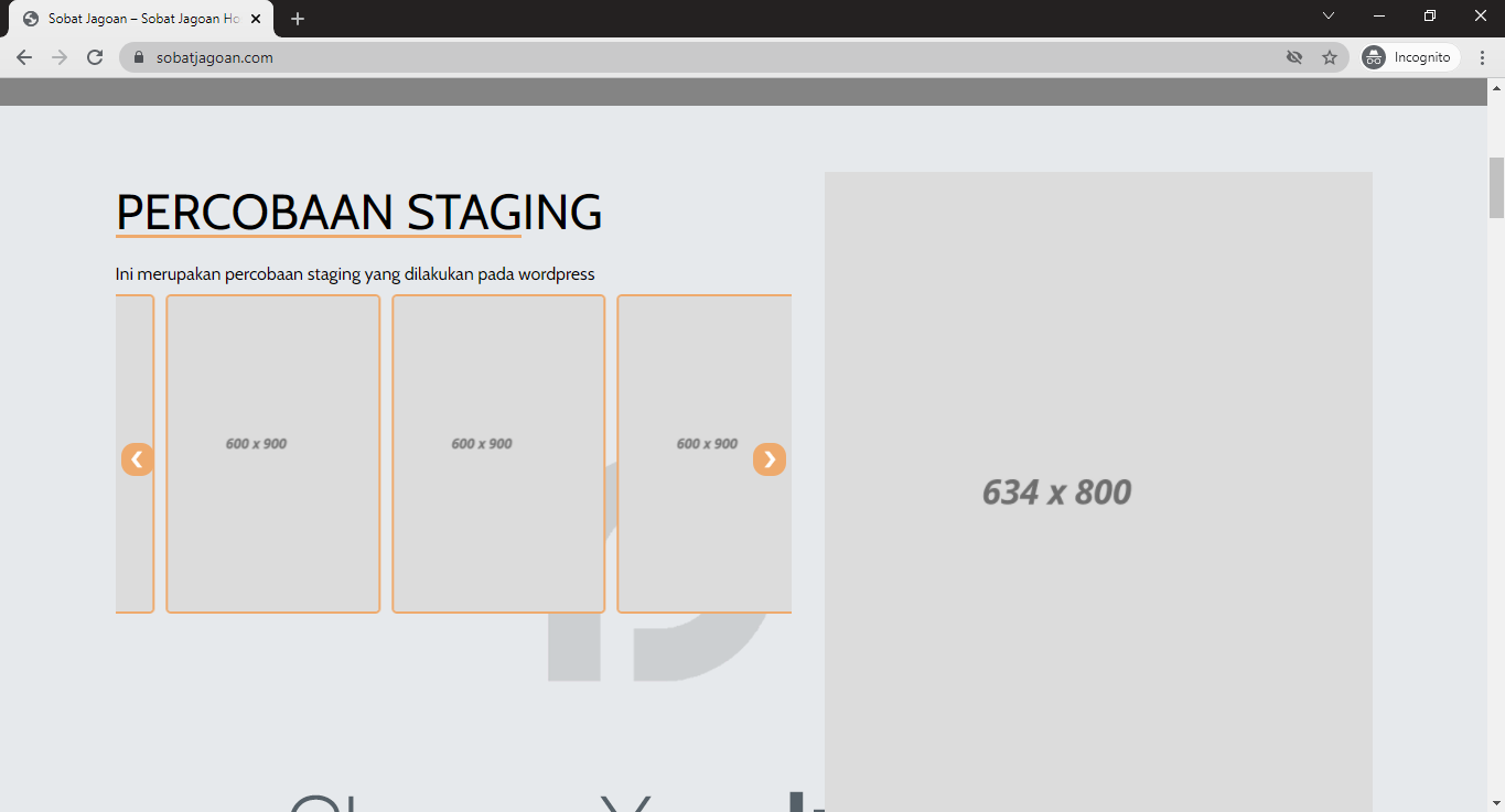 Cara Membuat Staging Website