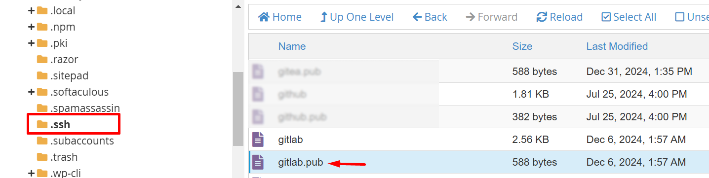 Folder .ssh di cPanel