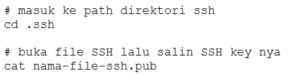 command melihat isi file ssh key di terminal