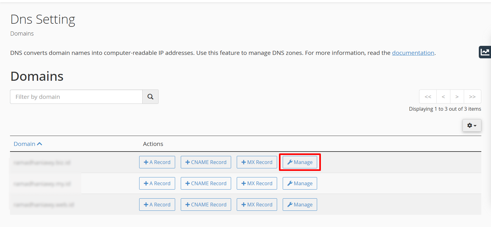 DNS Setting