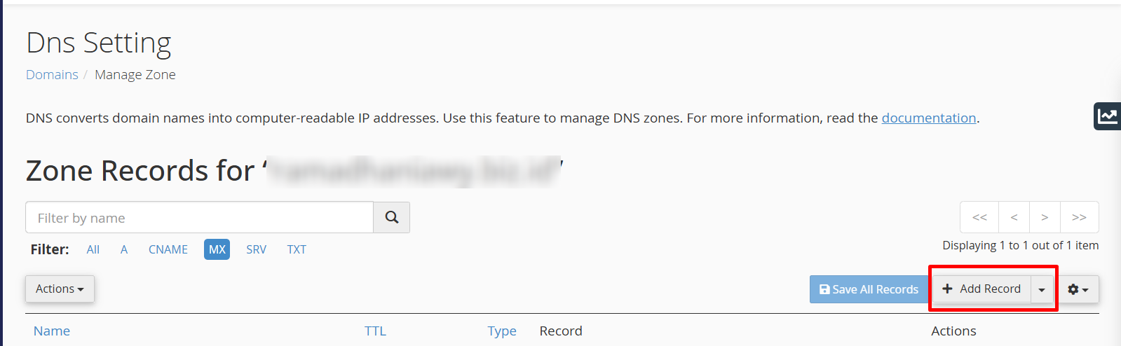 DNS Setting