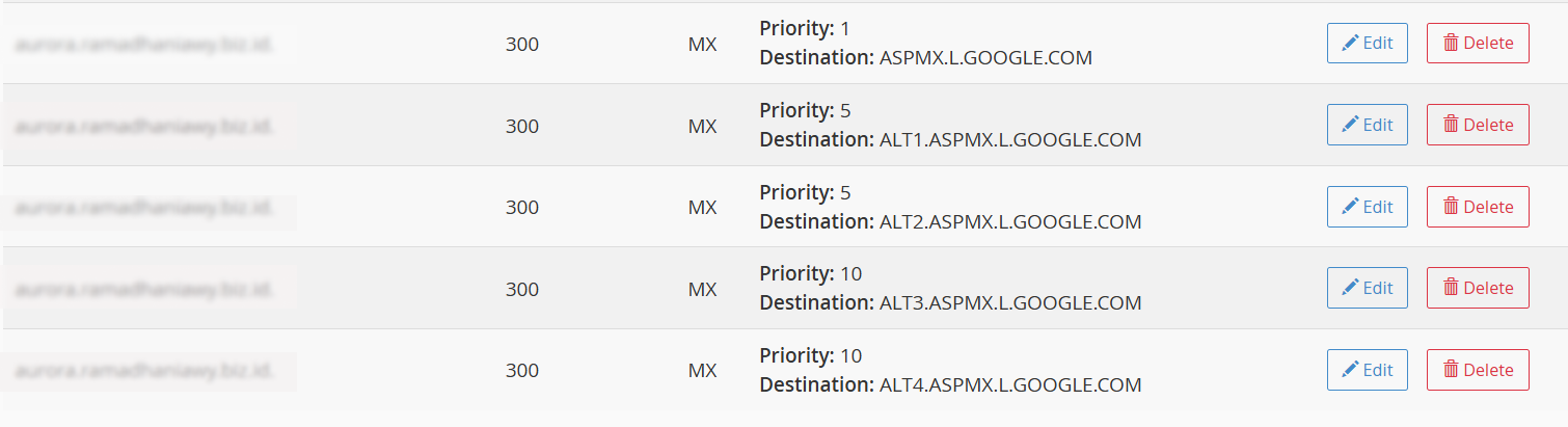 DNS Setting