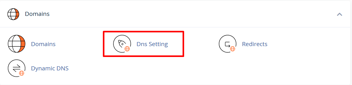 DNS Setting