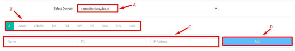 menambah dns record cyberpanel