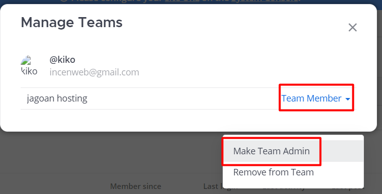 MANAGE TEAM ADMIN