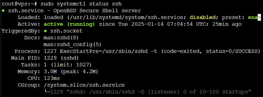 Status SSH